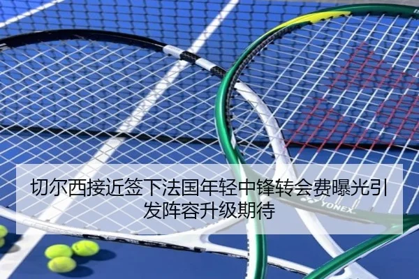 切尔西接近签下法国年轻中锋转会费曝光引发阵容升级期待